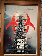 28 Years Later (2025)