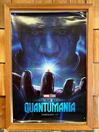 Ant-Man and the Wasp: Quantumania (2023)