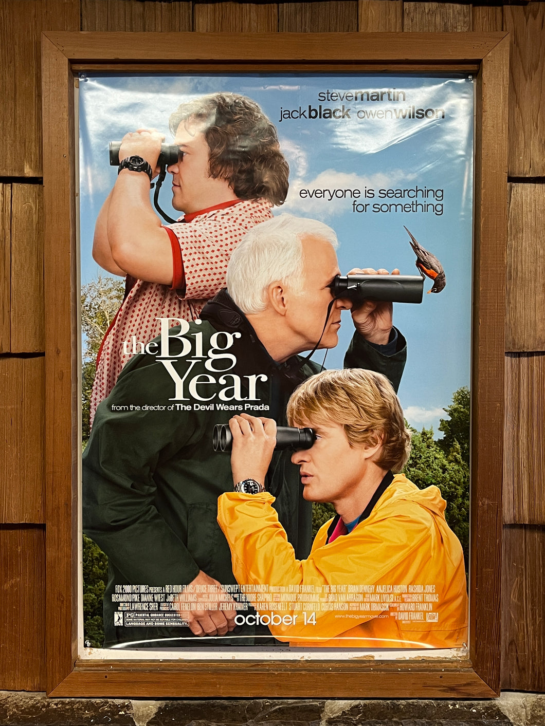 Big Year, The (2011)