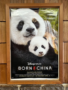 Born in China (2017)