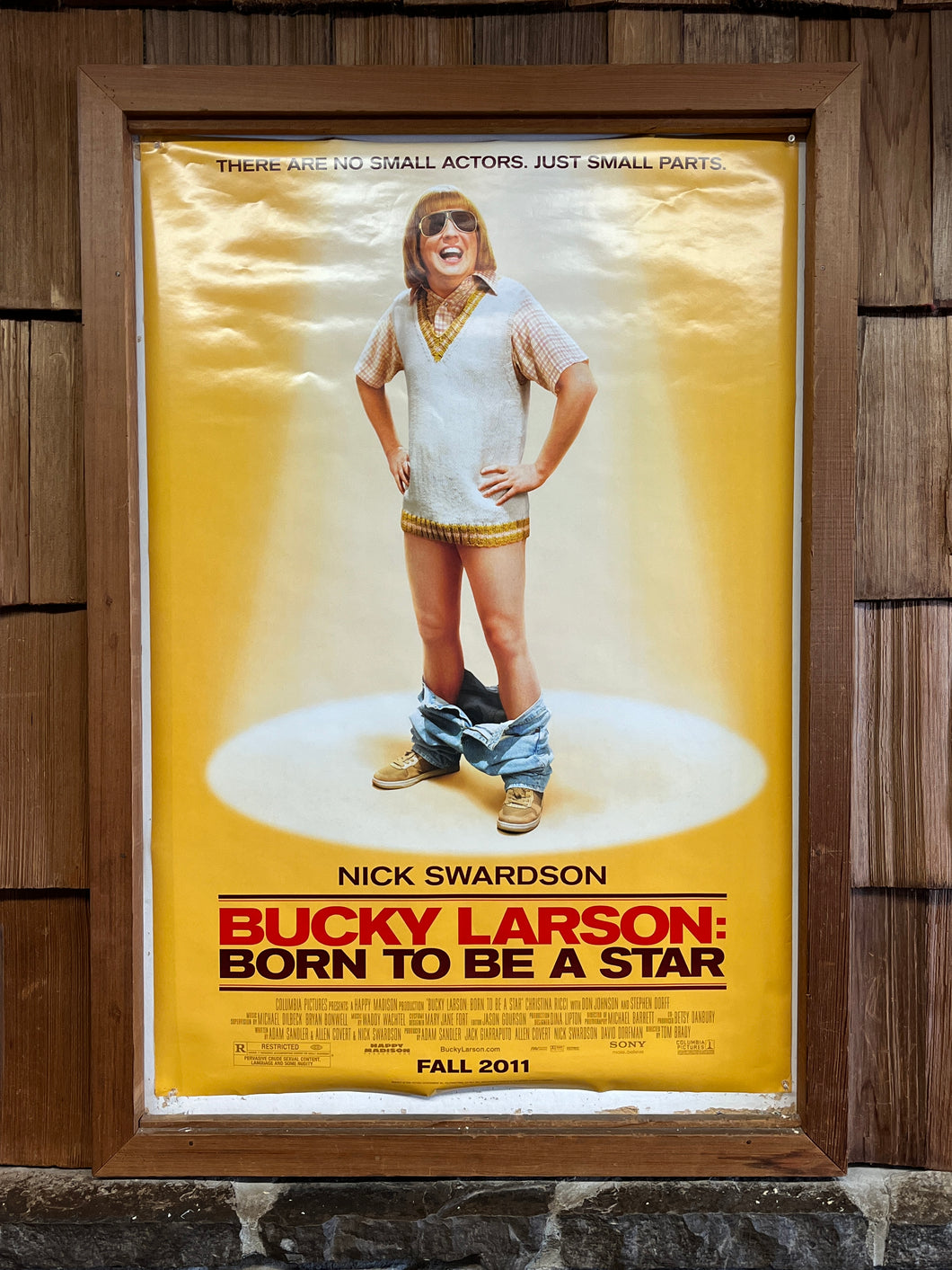 Bucky Larson: Born to be a Star (2011)