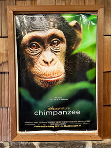 Chimpanzee (2012)
