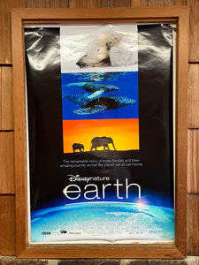Earth (2009)