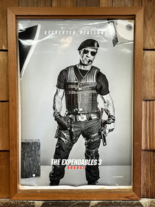 Expendables 3, The (2014) – Shannon Theatre - Main Image