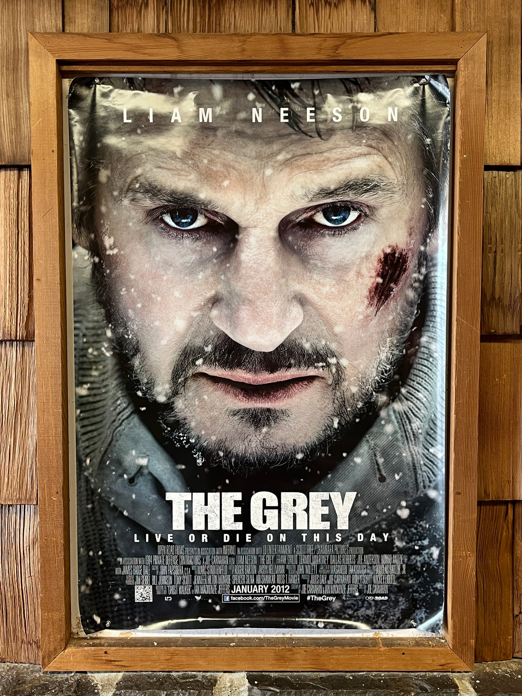 Grey, The (2012)