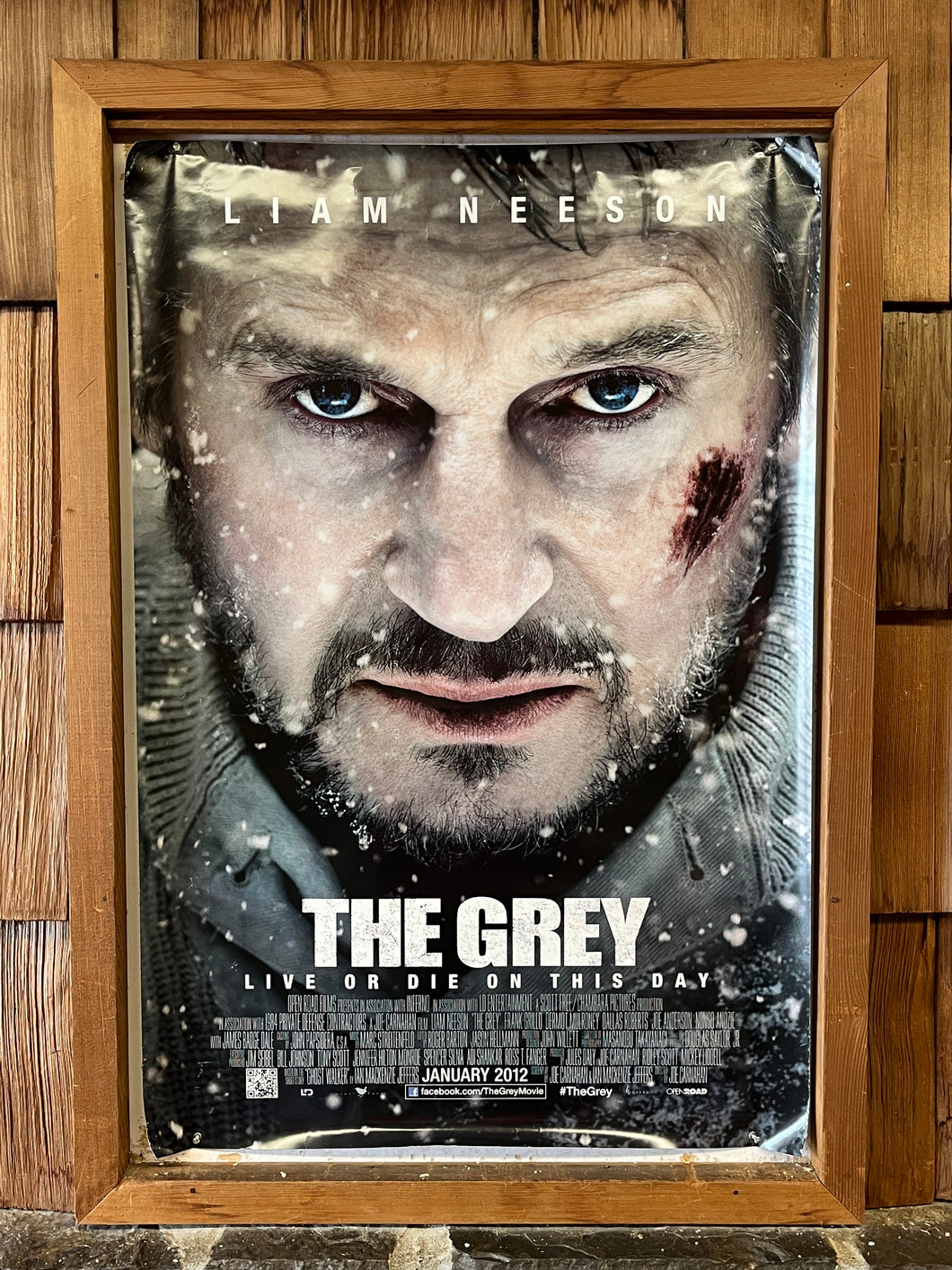 Grey, The (2012)