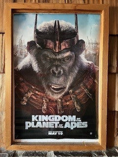 Kingdom of the Planet of the Apes (Alt 1) (2024)