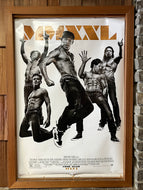 Magic Mike XXL (2015)