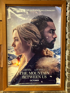 Mountain Between Us, The (2017)
