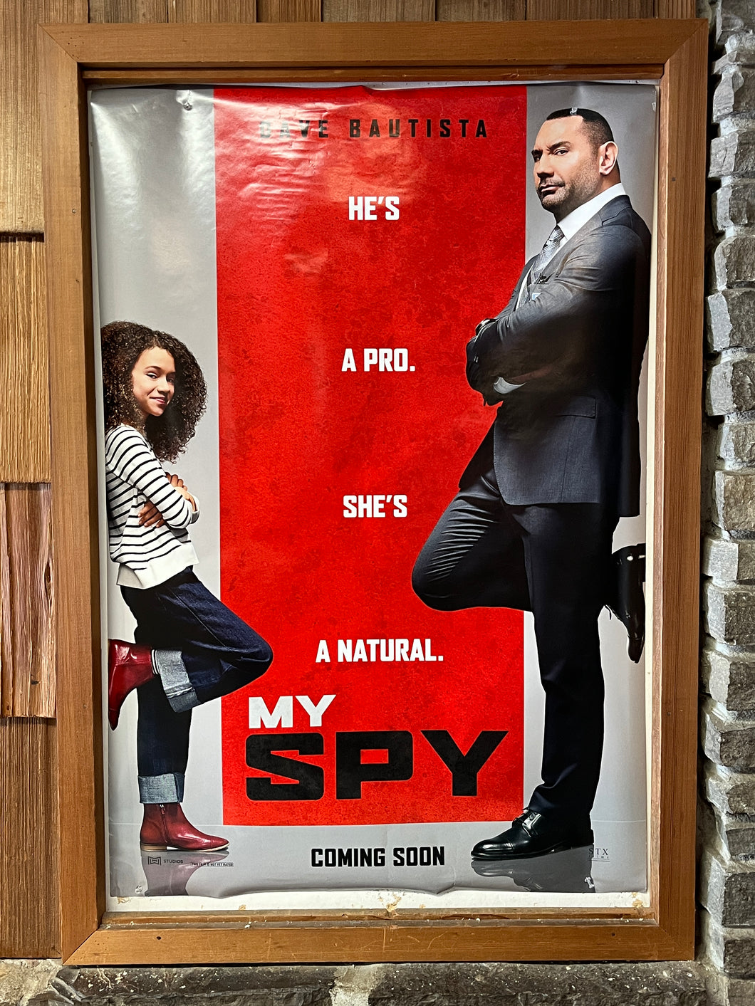My Spy (2020)