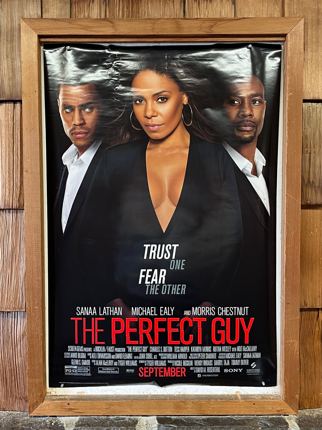 Perfect Guy, The (2015)