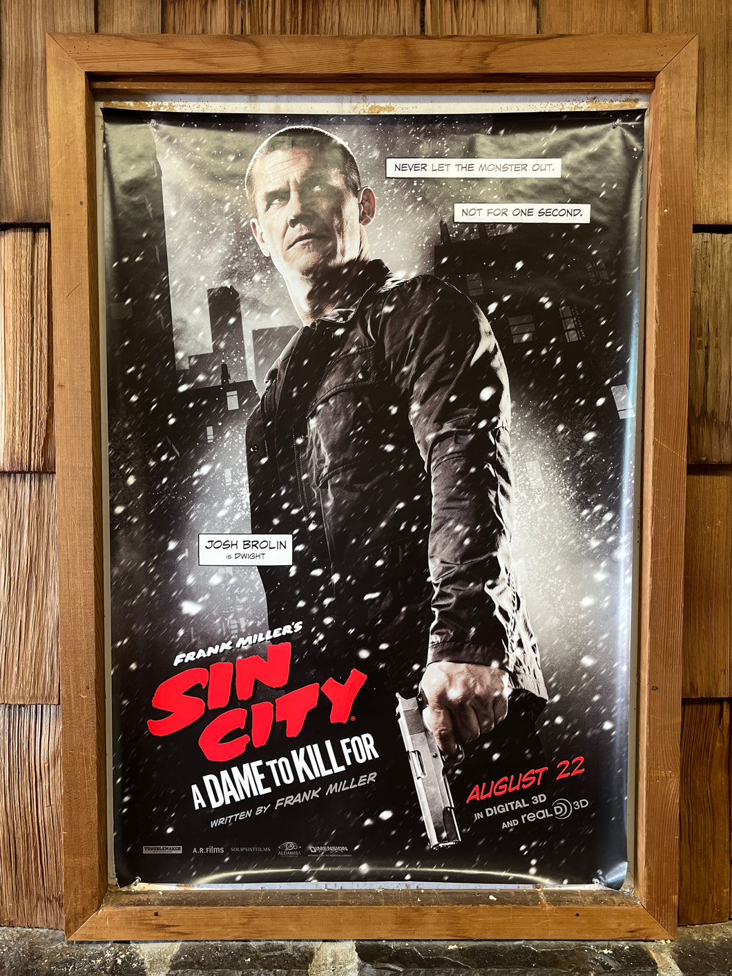 Sin City: A Dame to Kill For (2014)