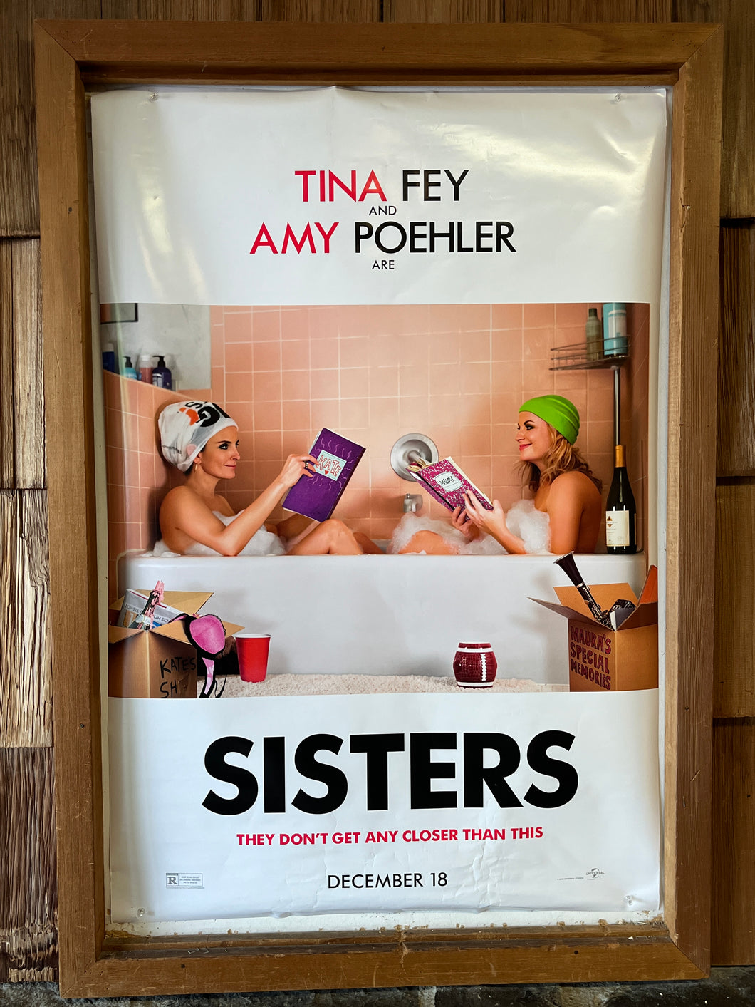 Sisters (2015)