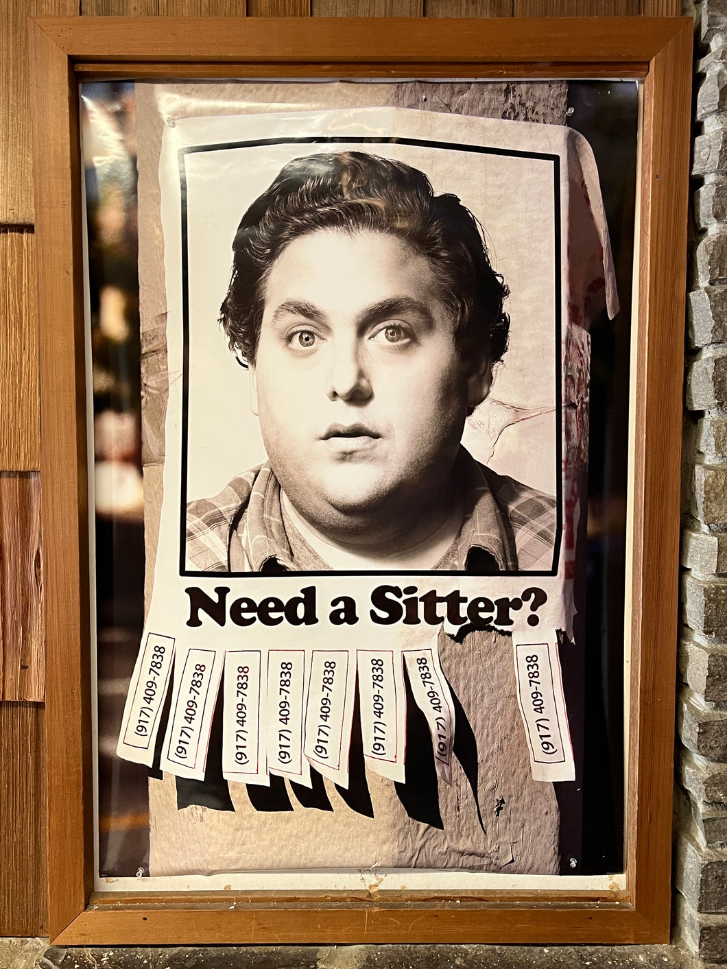 Sitter, The (2009)