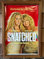 Snatched (2017)