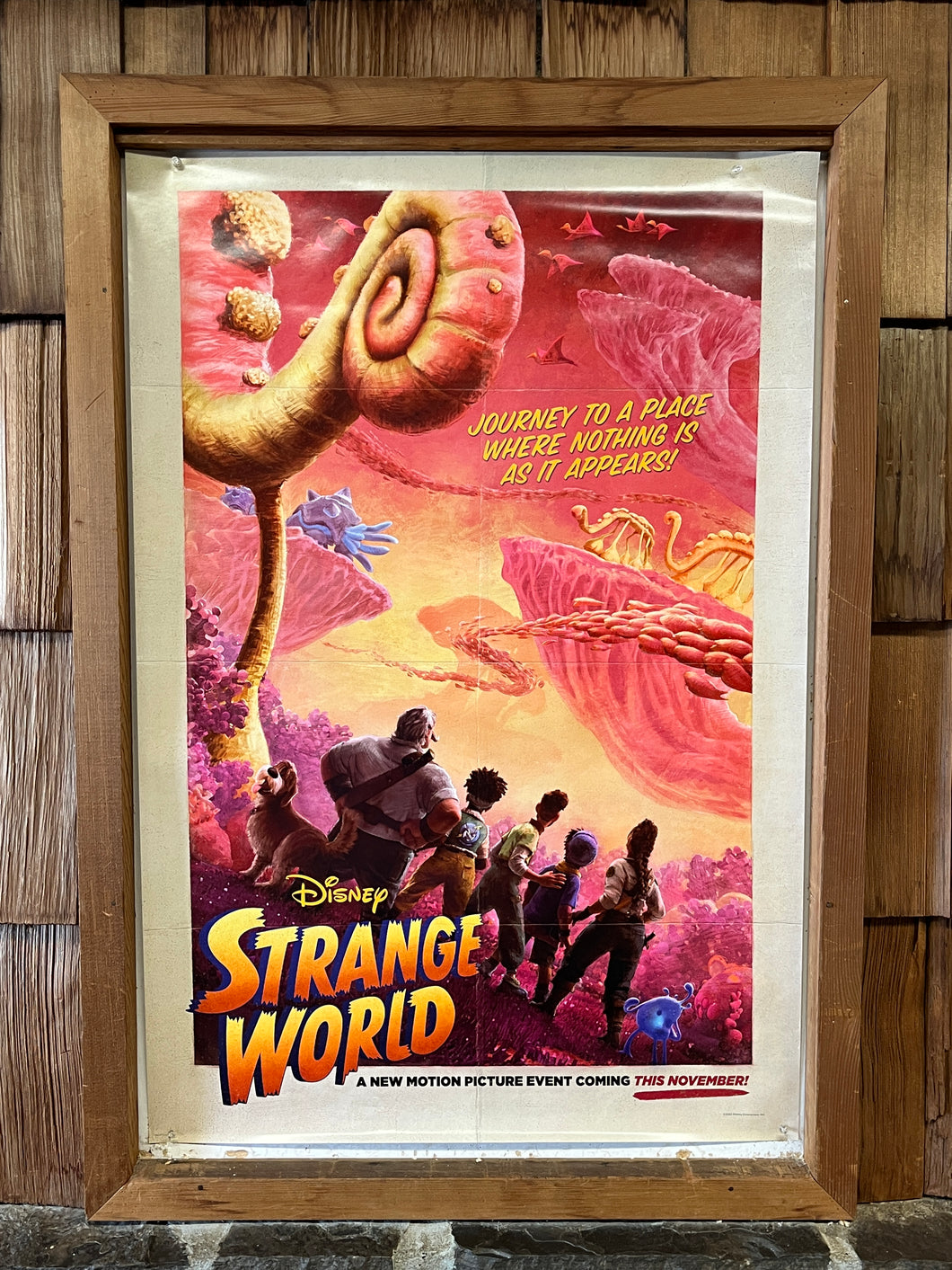 Strange World (2022)