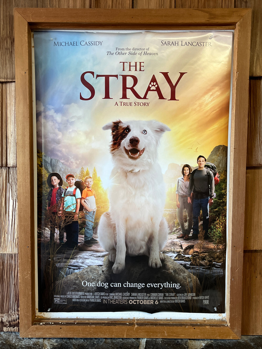 Stray, The (2017)