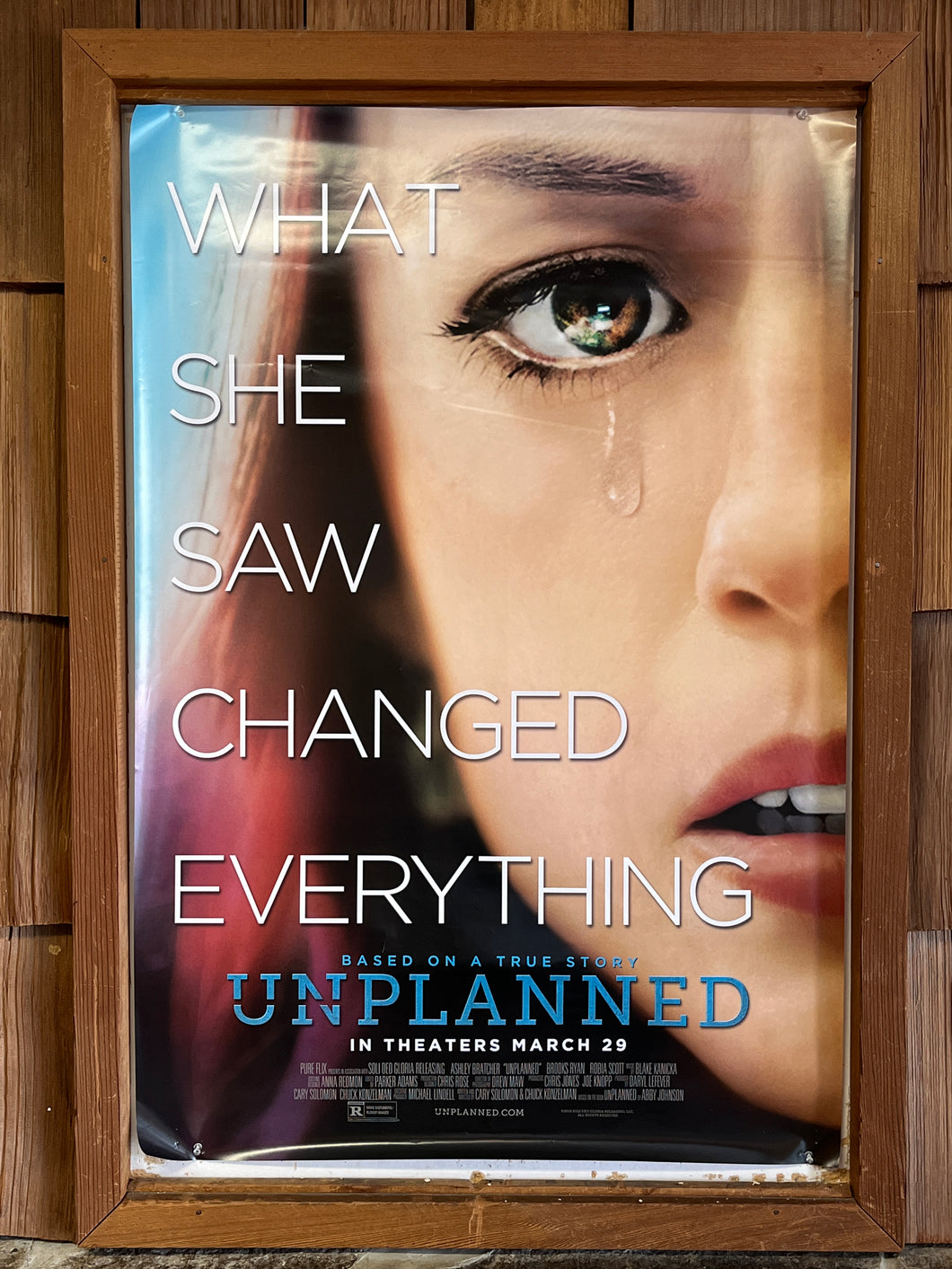 Unplanned (2019)