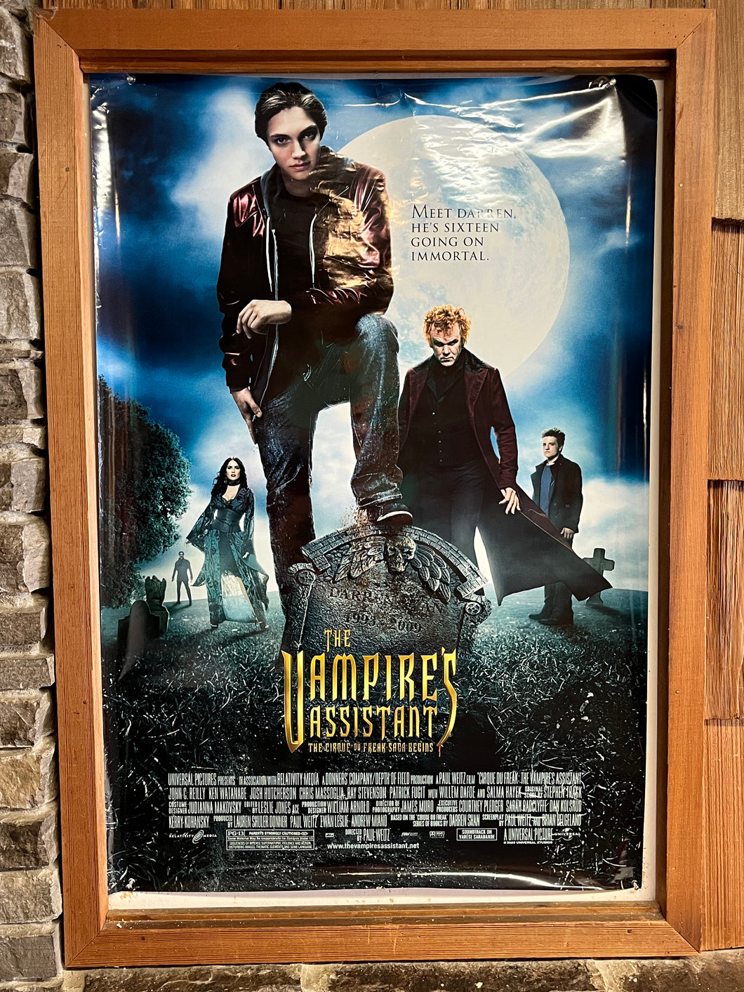 Vampire's Assistant, The (2009)