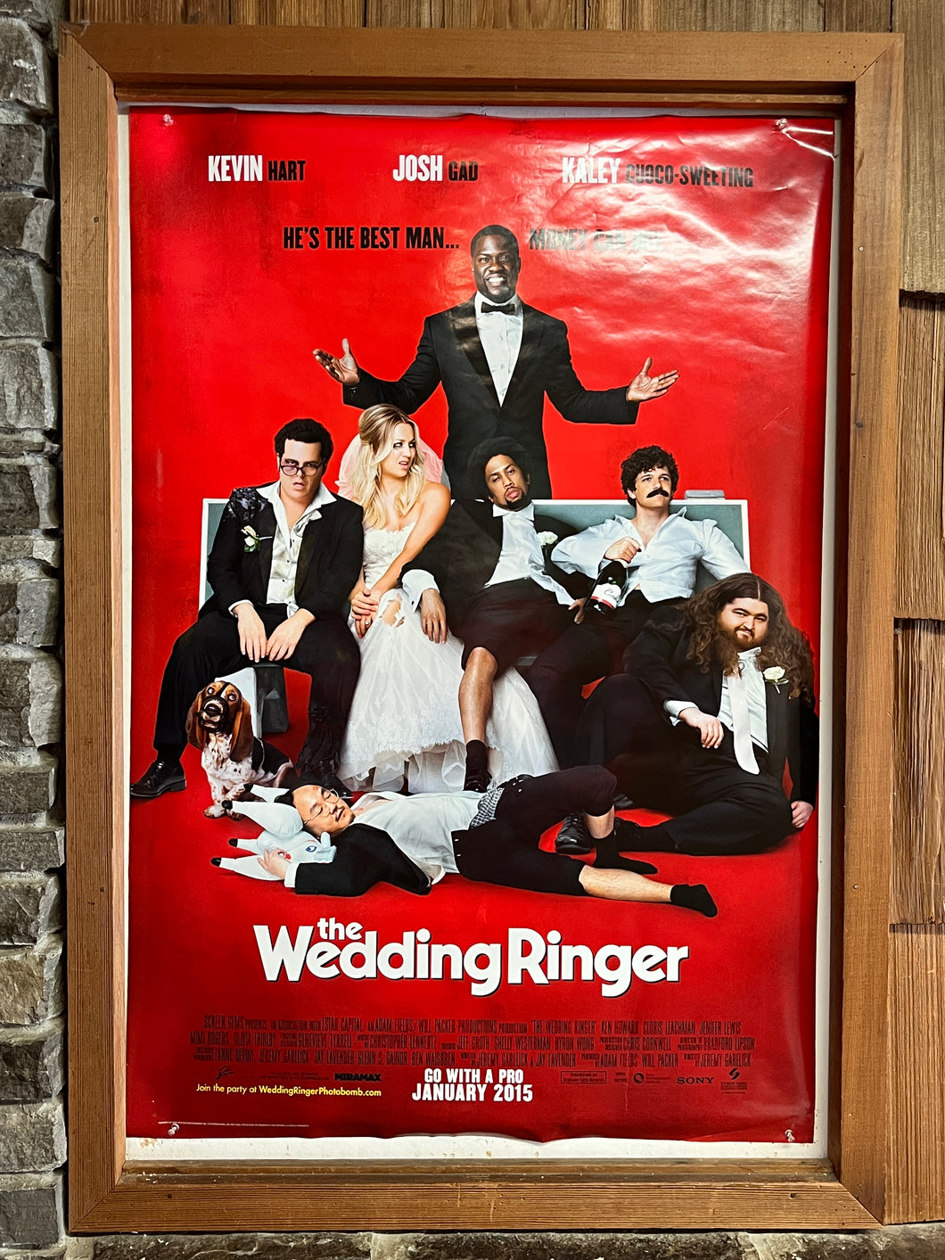 Wedding Ringer, The (2015)