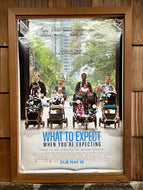 What to Expect When You're Expecting (2012)