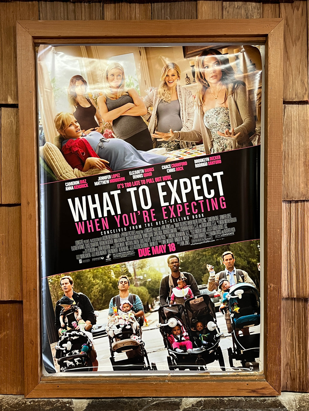 What to Expect When You're Expecting (2012)