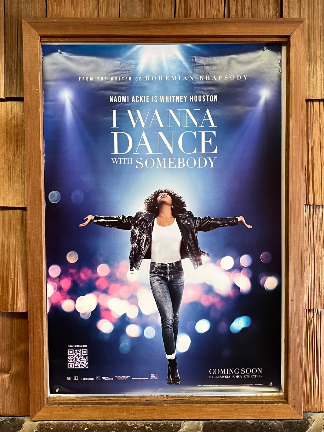 Whitney Houston: I Wanna Dance with Somebody (2022)