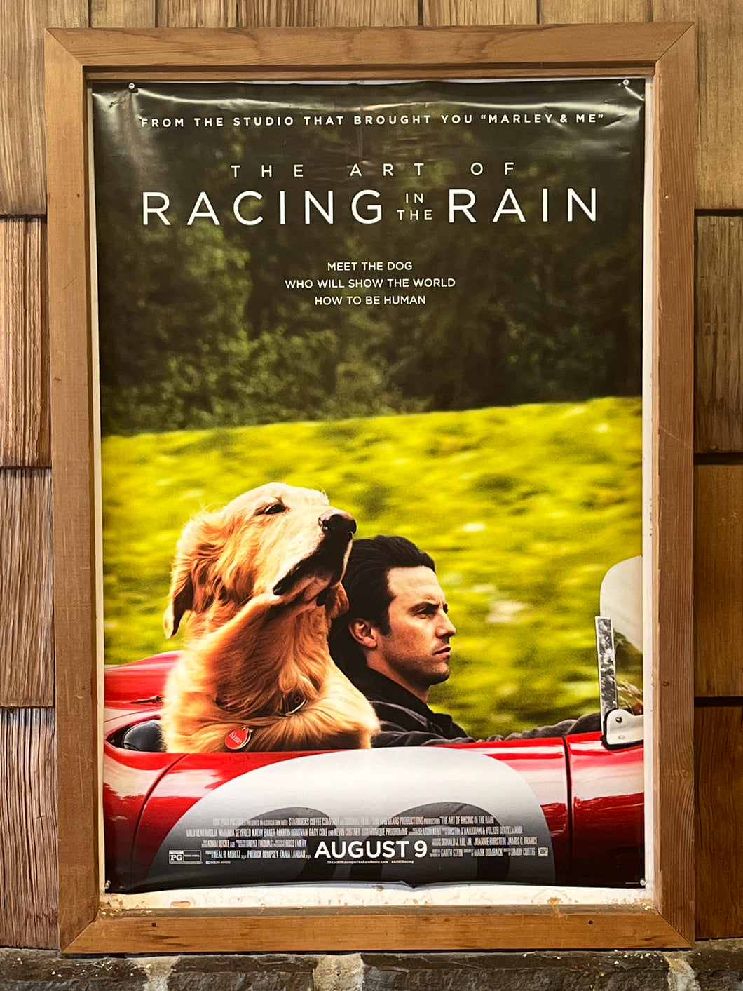 Art of Racing in the Rain, The (2019)